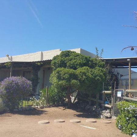 The Stables Accommodation 랑게바안 외부 사진